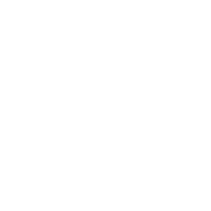 Stakeholder interview